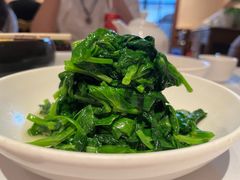 五粮液嫩豆苗-玫瑰厅上海菜(兴国路店)