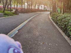 -顺峰山公园