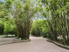 -晓港公园