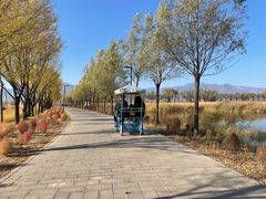 -野鸭湖国家湿地公园