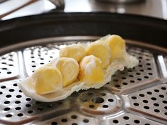 -粘豆包柴火铁锅炖