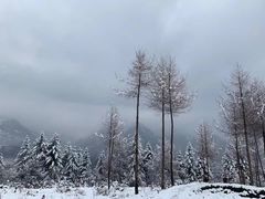 -瓦屋山景区