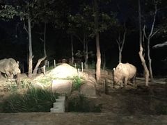-清迈夜间动物园