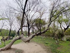 -玉山公园
