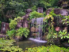 -广州神农草堂中医药博物馆