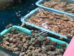 -鑫悦楼煎蟹·16年海鲜大排档