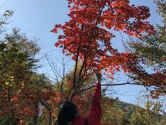 -龙道沟景区
