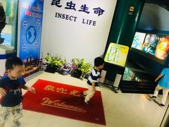 -上海昆虫博物馆