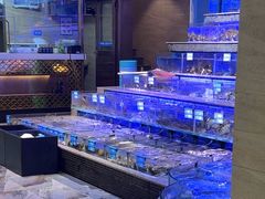 -青蓬蒸汽海鲜·深圳老字号·团建聚会(壹方城店)