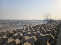-奉贤海滩