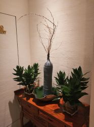 大堂-苑苑发型设计