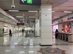 -红树湾(地铁站)