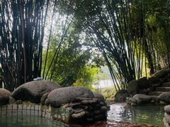 -三江森林温泉度假区