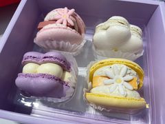 花花半熟马卡龙玫瑰双莓芝士口味-好利来(团结湖店)