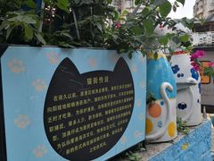 -猫咪博物馆(顶澳仔猫街店)