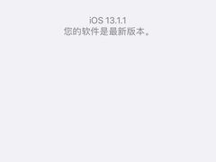 -Apple零售店(中街大悦城店)