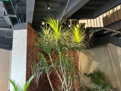 -J Create城市露营咖啡·简餐·宠物(上海动物园店)