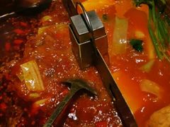 鸳鸯锅底-海底捞大排档火锅(悦荟广场店)