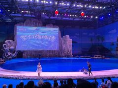 -华夏文旅海洋公园