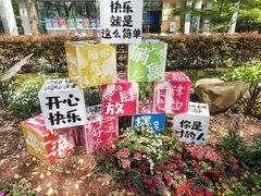 -上海共青森林公园