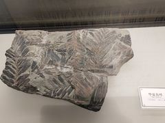-辽宁古生物博物馆