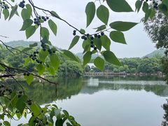 -白马涧龙池景区