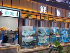 -老船舫·现做活鲜鱼馆(东郊记忆店)