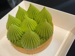 抹茶挞-猫里有甜