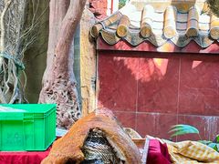 -园林美食城·本土农家菜(杨和镇店)