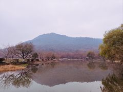 -八卦田遗址公园