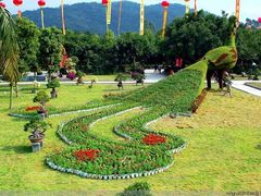 -东南花都花博园