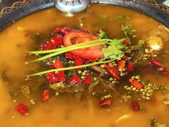 -符缸酸菜鸡(华阳店)
