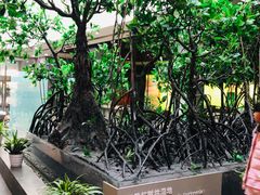 -中国湿地博物馆