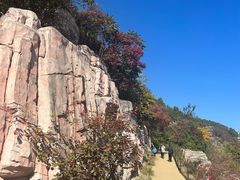 -北京西山国家森林公园