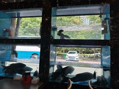 -浔味·山屿湖·正宗淳牌全鱼宴老字号