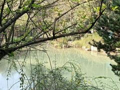 -杭州半山国家森林公园