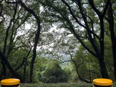 -惠山国家森林公园