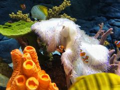 -上海海洋水族馆