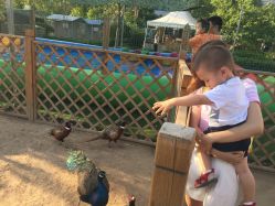 -萌宠亲子动物乐园(槐房万达店)