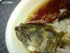 金海湾的清蒸石斑鱼-长崎家日式料理(人民大街店)