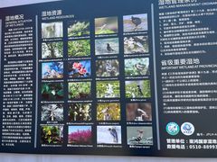 -梁鸿国家湿地公园