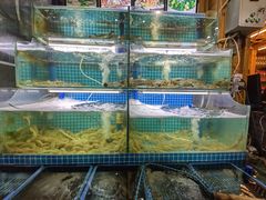 水产区-老东镇啤酒屋海鲜加工·蒸汽海鲜·海鲜烧烤(台东店)
