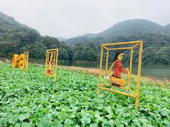 -广州市石门国家森林公园