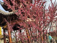 -宝通禅寺