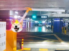 入口-白玉兰广场停车场