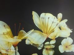 -望江楼公园