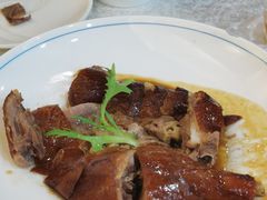 -椿记烧鹅(叠彩店)