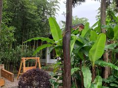 -九龙湾·御膳坊(九龙窠路店)