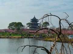 -上海海湾国家森林公园