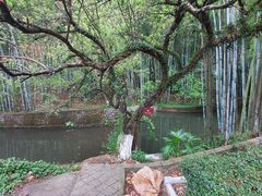 -广东温泉宾馆